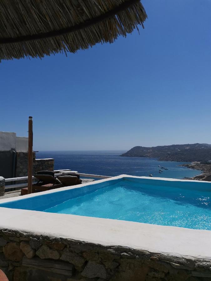 Villa Viktoria In Elia Beach, Mykonos Mykonos Town Bagian luar foto